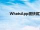 WhatsApp很快将为其相机提供单独的视频模式