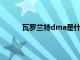 瓦罗兰特dma是什么意思（DMA是什么意思）