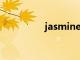 jasmine翻译（jasmin）