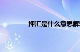 押汇是什么意思解释（押汇是什么意思）