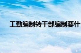 工勤编制转干部编制要什么条件（工勤编制转公务员）