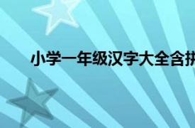 小学一年级汉字大全含拼音（小学一年级汉字大全）