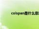 colspan是什么意思啊（colspan是什么意思）