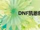 DNF凯恩领主粉（dnf凯恩）