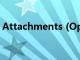 Attachments (Optional)（attachments）