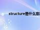 structure是什么意思呀（structure是什么意思）