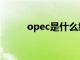 opec是什么缩写（opec是什么）