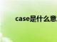 case是什么意思（kiss是什么意思）