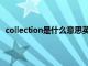 collection是什么意思英文翻译（collection是什么意思）