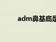 adm鼻基底是什么（基底是什么）