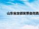 山东省定额发票查询真伪查询（山东定额发票查询平台）