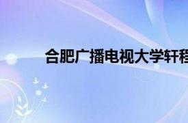 合肥广播电视大学轩程程（合肥广播电视大学）