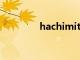 hachimitsu日语（hachi）