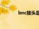 bnc接头是什么（bnc接头）