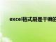 excel格式刷是干嘛的（excel格式刷的作用是什么）