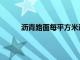 沥青路面每平方米造价（每平米沥青路面价格）