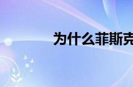 为什么菲斯克周三上涨了9%