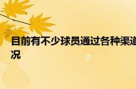 目前有不少球员通过各种渠道在打探津门虎新赛季备战的相关情况