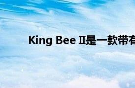 King Bee II是一款带有XLR输入的录音室麦克风