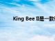 King Bee II是一款带有XLR输入的录音室麦克风