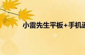 小雷先生平板+手机通用支架日常售价19.9元