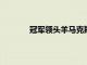 冠军领头羊马克斯维斯塔潘赢得法国大奖赛