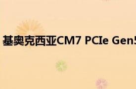 基奥克西亚CM7 PCIe Gen5 Enterprise固态硬盘现已发货