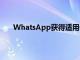 WhatsApp获得适用于Windows的新独立应用程序