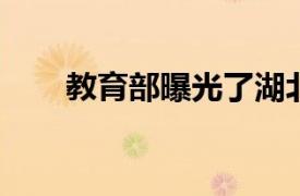 教育部曝光了湖北省的四所野鸡大学