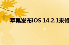 苹果发布iOS 14.2.1来修复iPhone 12设备上的错误
