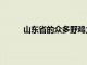 山东省的众多野鸡大学当中这7所最为臭名昭著