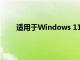 适用于Windows 11 22H2的英特尔显卡驱动程序