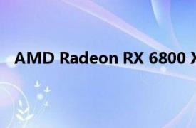 AMD Radeon RX 6800 XT黑色版显卡在发布前被发现