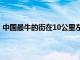 中国最牛的街在10公里左右的街道上 竟有5所985世界名校