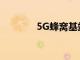 5G蜂窝基站市场的综合分析