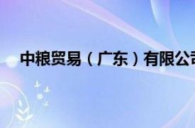 中粮贸易（广东）有限公司总经理梁永记接受审查调查