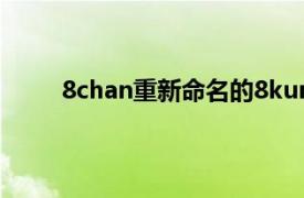 8chan重新命名的8kun网站在发布后几天就离线