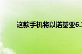 这款手机将以诺基亚6.1Plus的名称打入其他市场