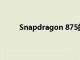 Snapdragon 875的泄漏揭示了技术规格和性能