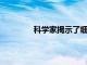 科学家揭示了细胞分裂主力军的重要作用