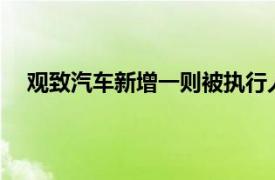 观致汽车新增一则被执行人信息，执行标的约1.08亿元