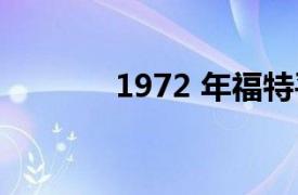 1972 年福特平托的驾驶回顾