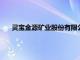 灵宝金源矿业股份有限公司原党委书记 董事长王建国被查