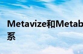 Metavize和Metabloqs建立战略合作伙伴关系