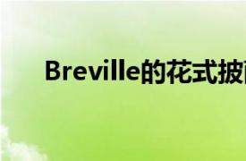 Breville的花式披萨烤箱将热量带回家