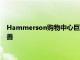 Hammerson购物中心巨头表示与上一季度相比租金问题有所改善