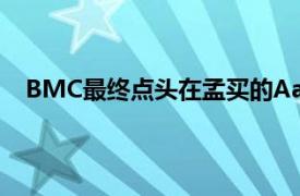 BMC最终点头在孟买的Aarey Colony清除了2646棵树