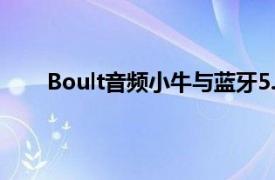 Boult音频小牛与蓝牙5.3长达35小时的总播放启动