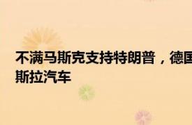 不满马斯克支持特朗普，德国大型零售连锁罗斯曼将不再采购特斯拉汽车