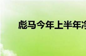 彪马今年上半年净利润同比下降25%